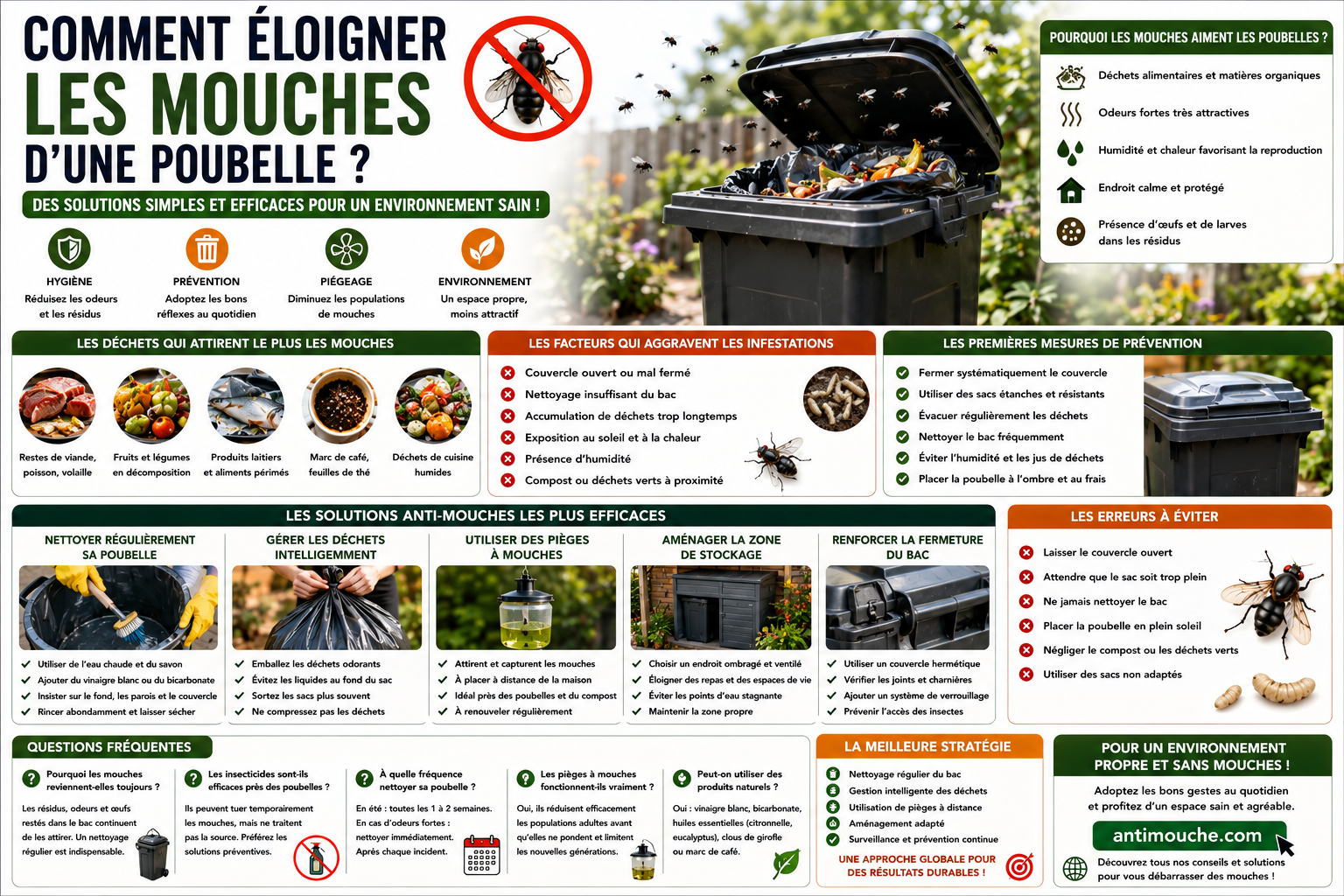 Comment éliminer les mouches dans un garage ?